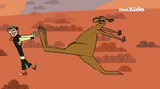 Australia kangaroo pwns duncan