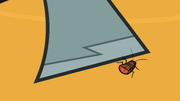 Poor Bug