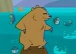 180px-MolotovTheBear-1-.jpg