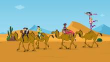 On the camels