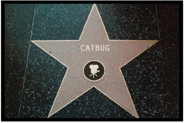 File:CatbugStar.png
