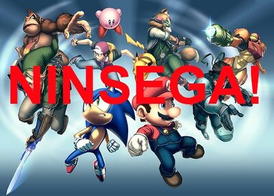 Ninsega logo