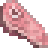 Raw Lamb Chops