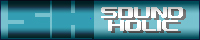 SOUND HOLIC bnr sml