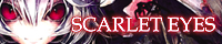 AECD 013banner
