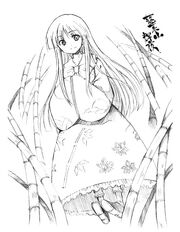 PMiSS kaguya.jpg