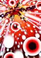 Thumbnail for version as of 12:23, April 17, 2013