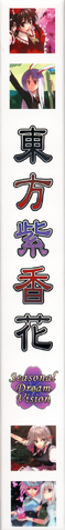 File:Seasonal dream vision 000c.png