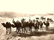 Karawana na Saharze.jpg