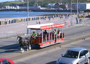 Douglas-IOM-horse-tram1