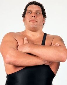 Andre