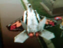 Skydivemoviejet