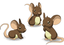 MiceDesign.png