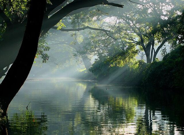 File:Alleppey.jpg