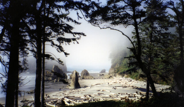 File:Ruby Beach.jpg