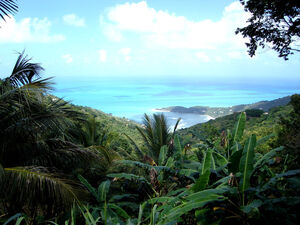 800px-Tortola
