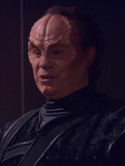 Spiegel-phlox