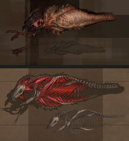 File:African Graboid (34).jpg