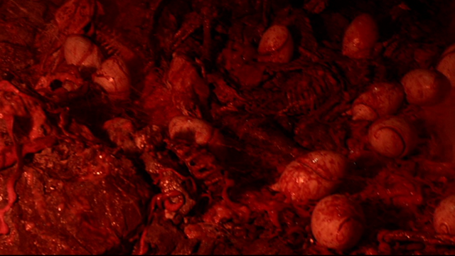 File:African Graboid Egg (1).png