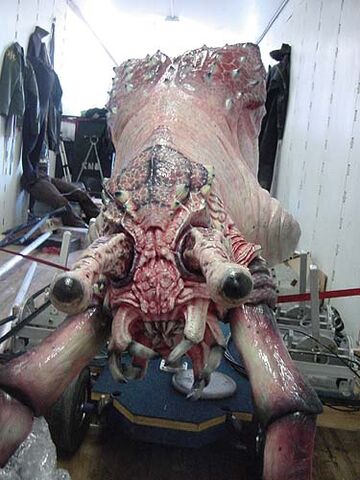 File:Giant Shrimp (0).jpeg