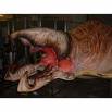 File:Graboid rights.jpg
