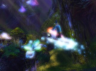 Wizard surfing