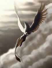 Eagle