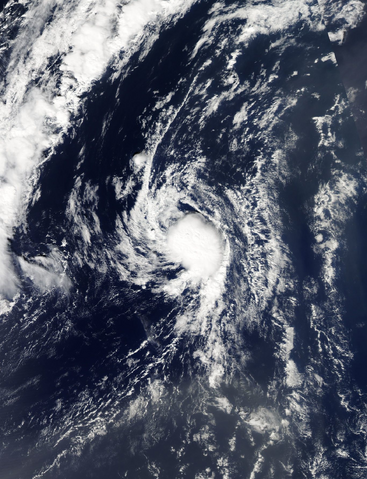 File:Lisa 2016-09-26.png