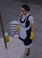 Maid