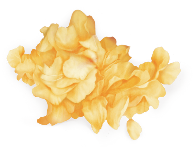 File:WILDFlowers.png
