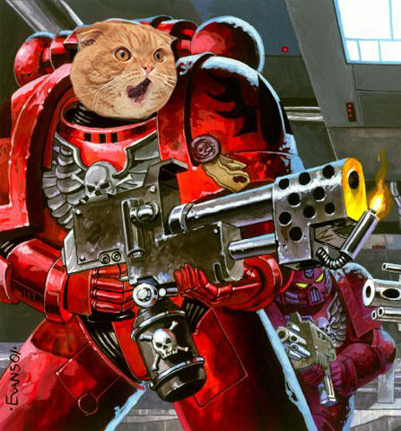 파일:Catmarine2.jpg