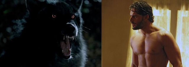 File:Werewolf.jpg