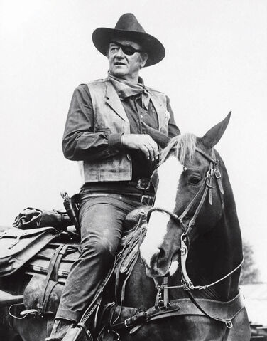 File:Rooster True Grit 2.jpg