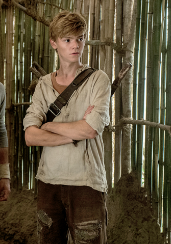 Plik:Newt TMR.png