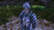 Draco jako Paladyn