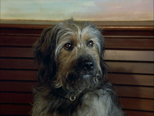 File:ThomasAndTheMagicRailroad174.png