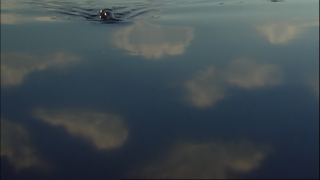File:Emily'sNewRoute66.png