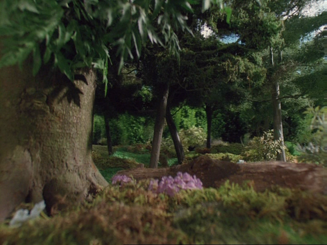 File:Henry'sForest59.png