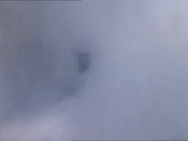 File:ThomasandtheMissingChristmasTree14.png