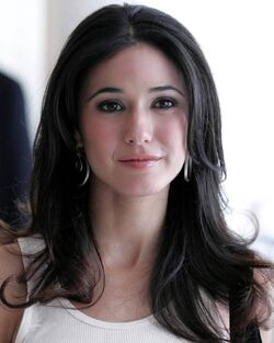 Emmanuelle Chriqui 4
