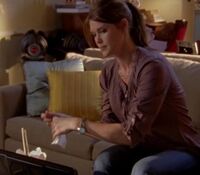 Sarah Lancaster 4