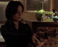 Emily Deschanel 9