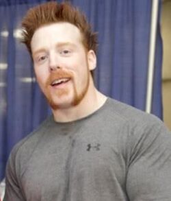 Stephen Farrelly 3