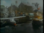 Lucky's Yard