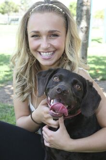 Haydenbrowndog3
