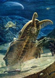 Anomalocaris.jpg