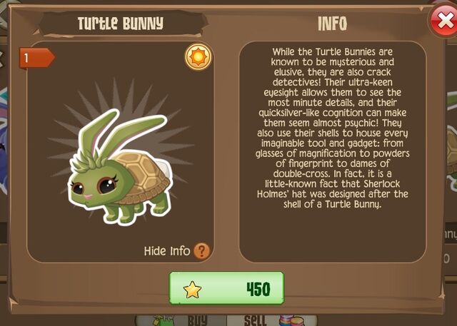 File:Turtle Bunny 2 (Info).jpg