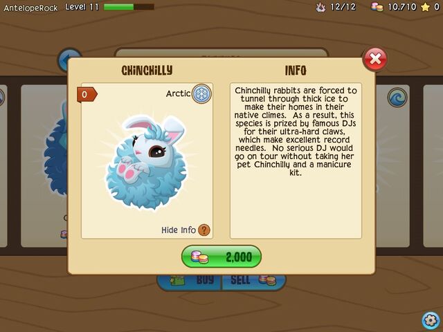 File:Chinchilly2.jpg