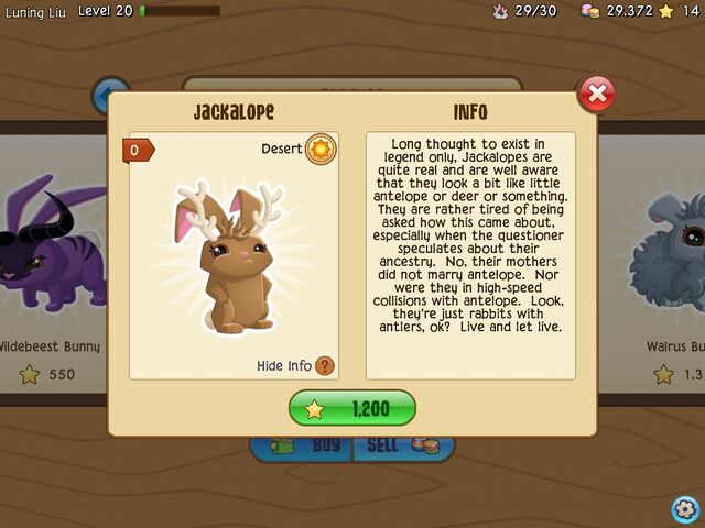 File:Jackalope 1.jpg