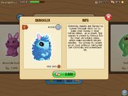 Chinchilly3